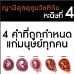 หะดีษที่ 4 สี่คำที่ถูกกำหนดแก่มนุษย์ทุกคน (3)