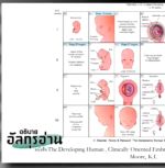 ตัฟซีร ซูเราะฮฺอัลอันอาม 11 (อายะฮฺ 19)