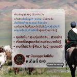 หะดีษที่ 6/6 ความคลุมเครือ(ชุบฮัต)ในเรื่องการหุกุ่ม(ตัดสิน)