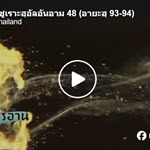 ตัฟซีร ซูเราะฮฺอัลอันอาม 48 (อายะฮฺ 93-94)