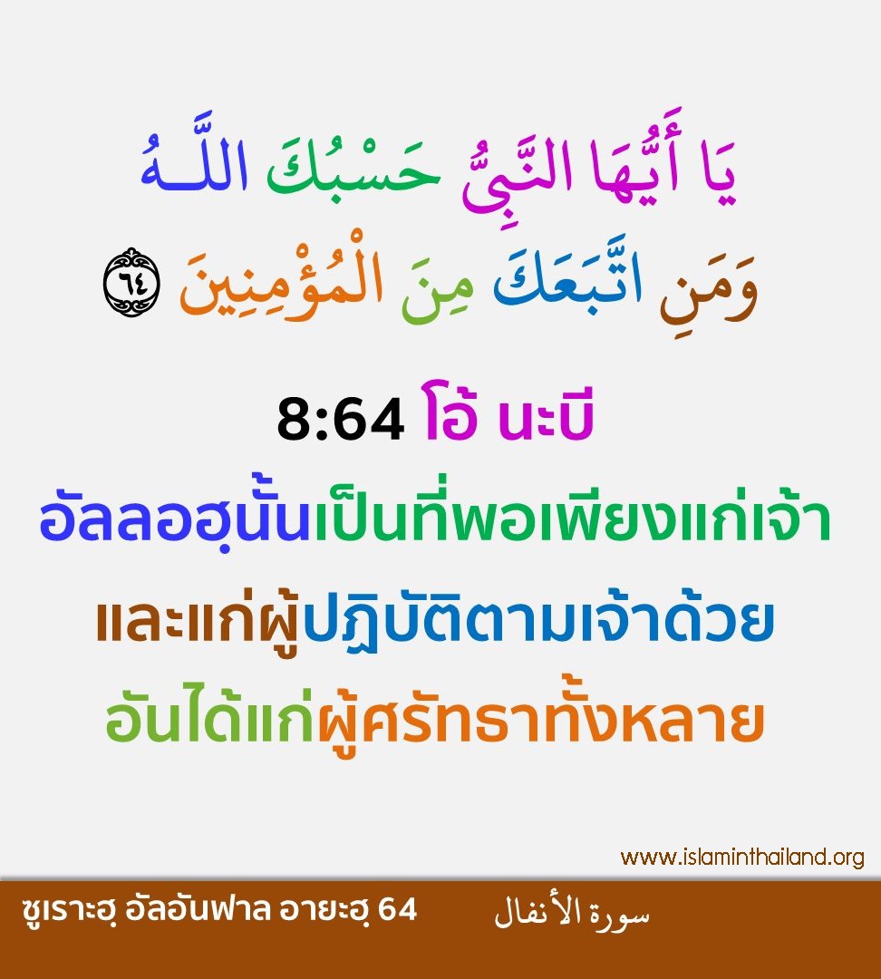 8-064.jpg