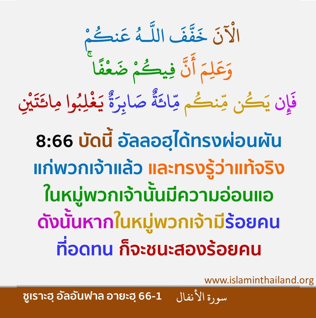 8-066a.jpg
