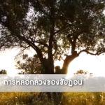 ตัฟซีร ซูเราะฮฺอัลอันอาม 41 (อายะฮฺ 71)