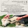 หะดีษ 17-3 จงเชือด(สัตว์)ด้วยวิธีที่ดี//