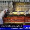 ตัฟซีร ซูเราะฮฺอัลอันอาม 66 (อายะฮฺ 118-119) 